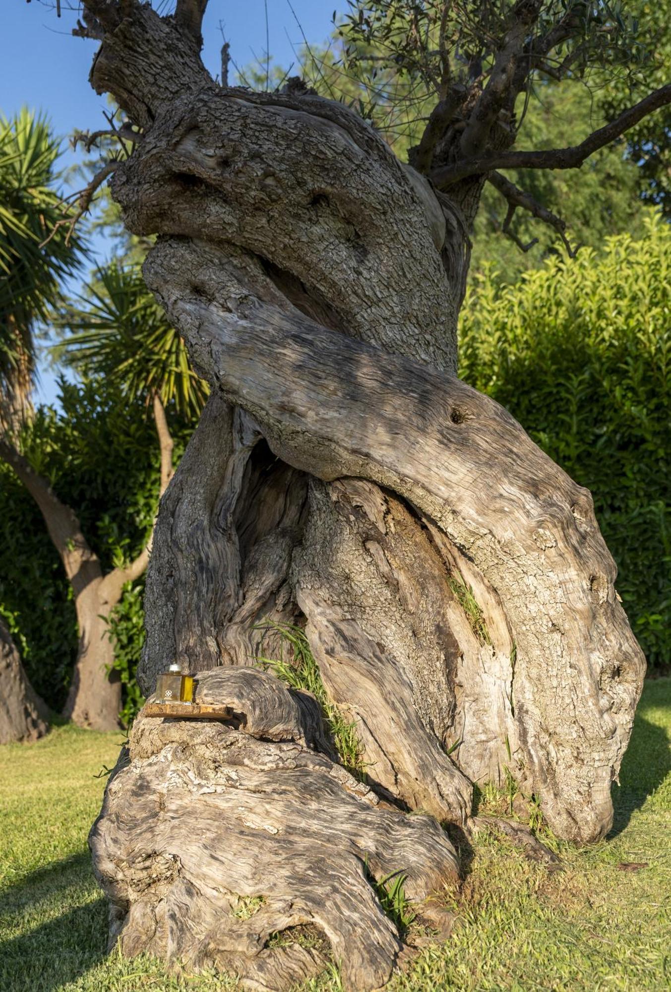 Masseria Giamarra Carpignano Salentino Luaran gambar